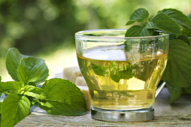 Mint tea with mint leaves and foliage in the back